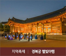 지역축제 | 경복궁 별빛야행