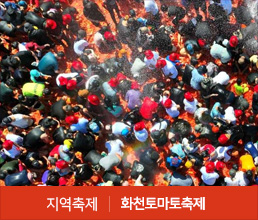지역축제 | 화천토마토축제