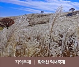 지역축제 | 황매산 억새축제