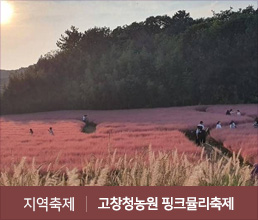 지역축제 | 고창청농원 핑크뮬리축제