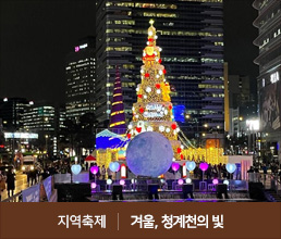 지역축제 | 겨울, 청계천의 빛