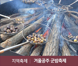 지역축제 | 겨울공주 군밤축제