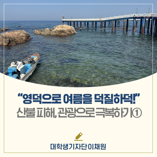 "영덕으로 여름을 덕질하덕!"│산불 피해, 관광으로 극복하기